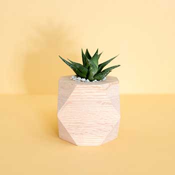 手机号外呼系统